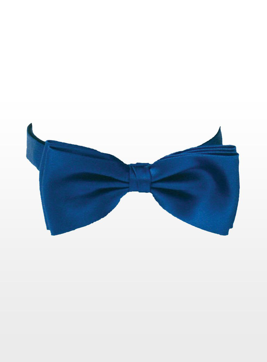 Fliege blau Schleife