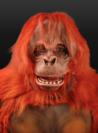 106468-orang-utan-maske-orangutan-mask-ape-monkey