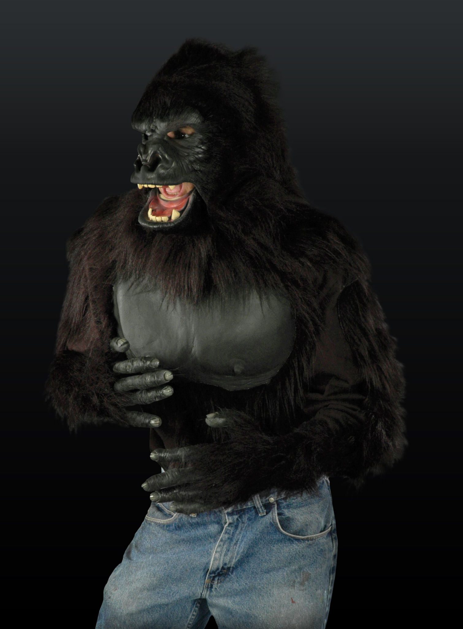 Gorilla Deluxe 