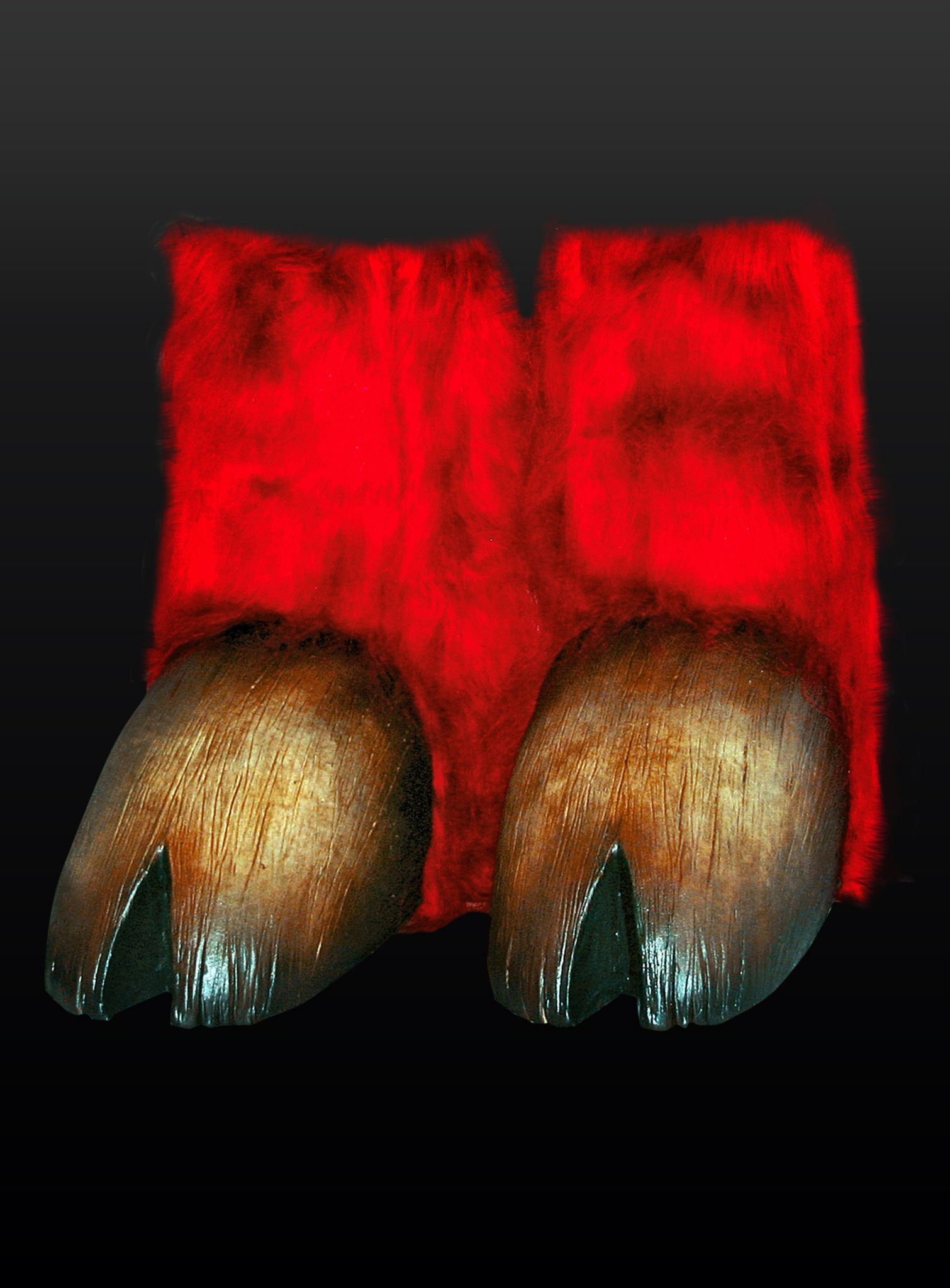 Hufen rot  
