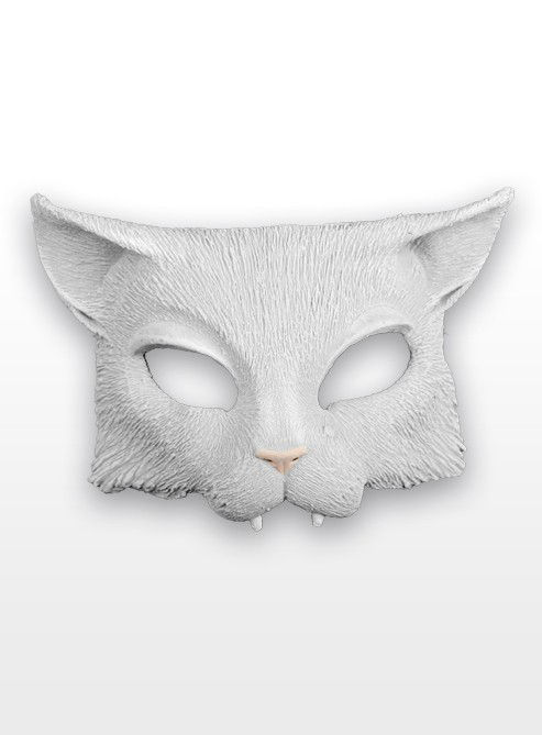 Katze weiß 