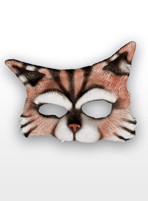 Kater gestreift 