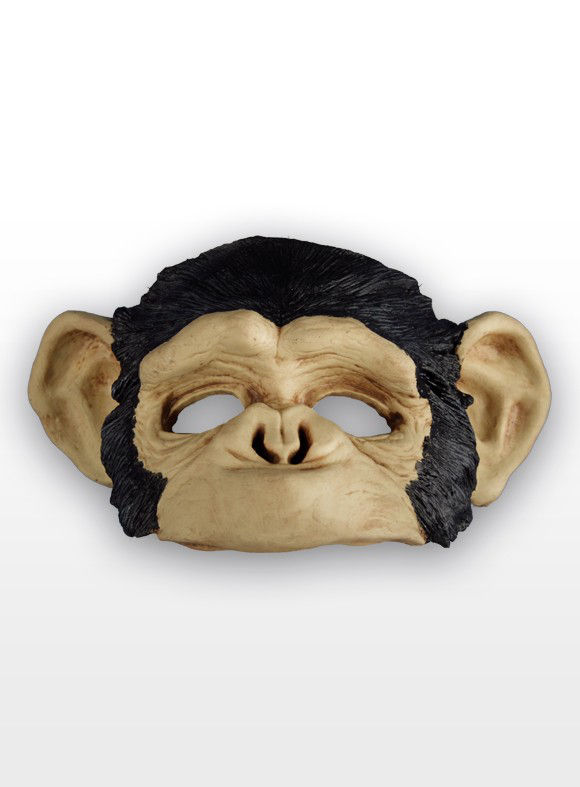 Chimp 