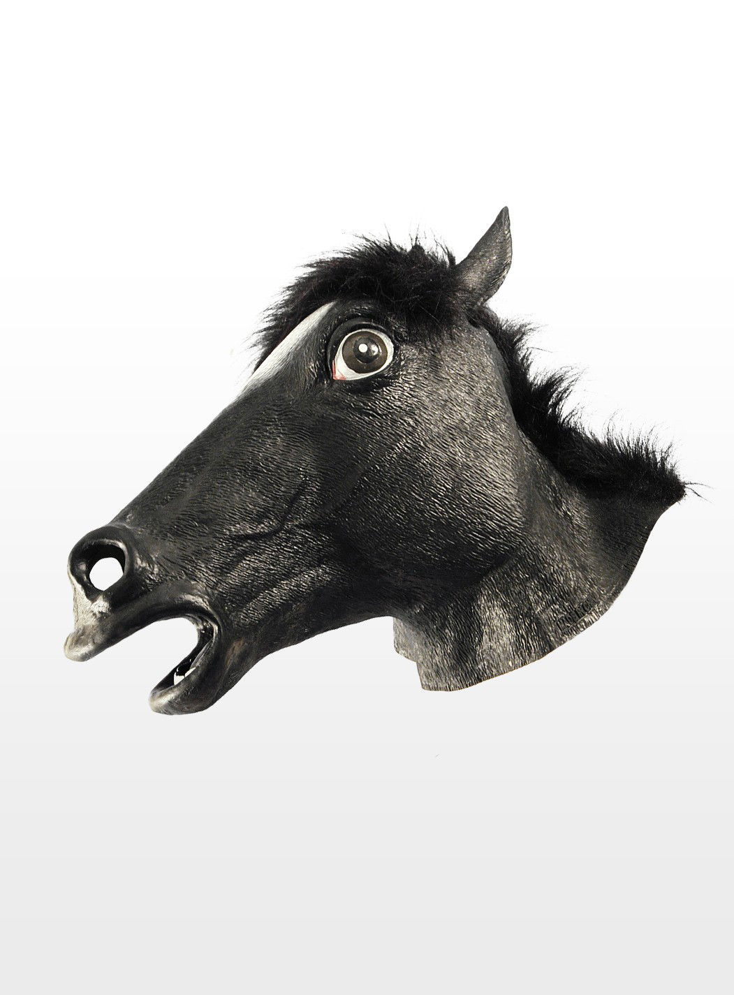 Pferd 
