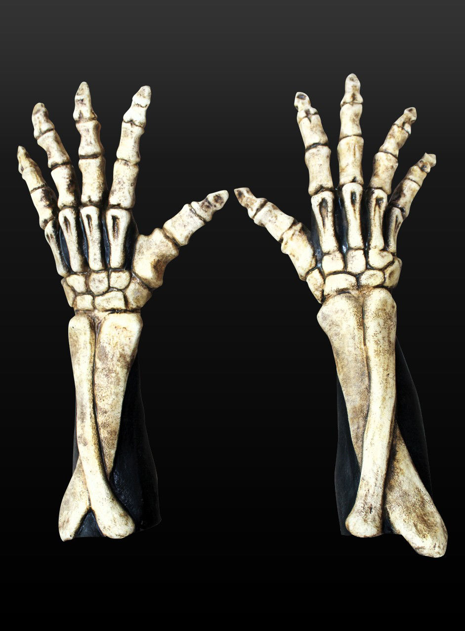 Skeleton Hands bone 