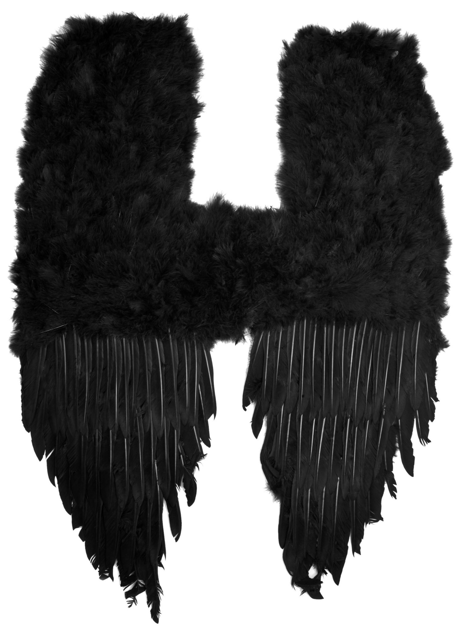 Large Black Demon Feather Wings 