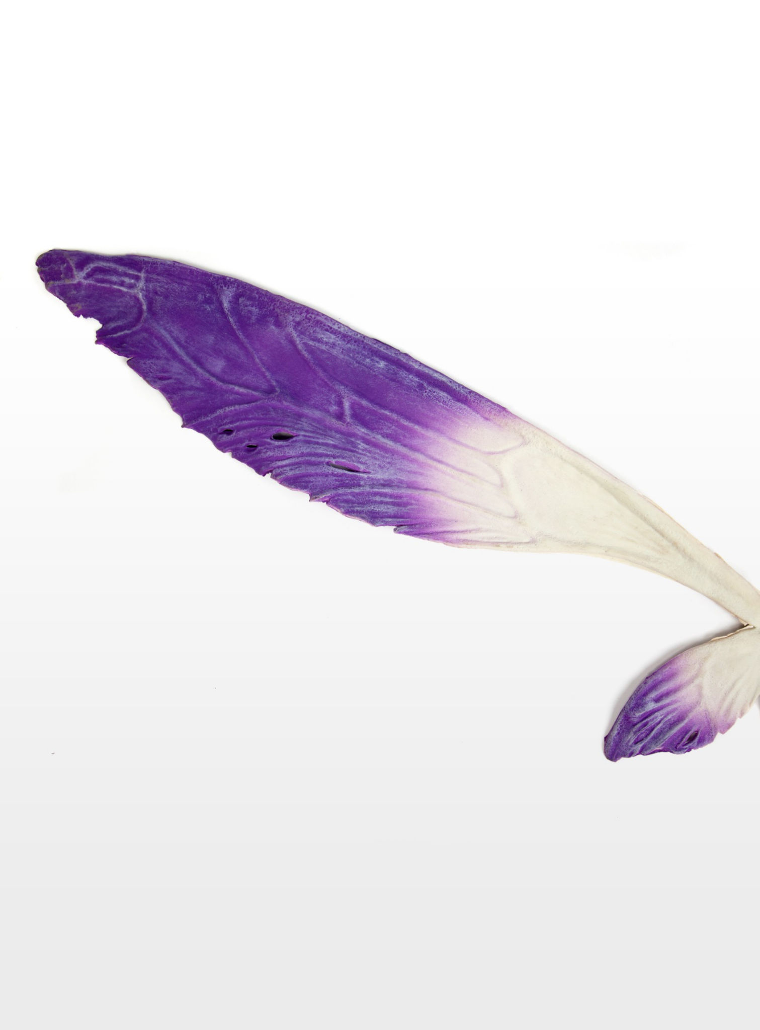 Large Fairy Wings purple 