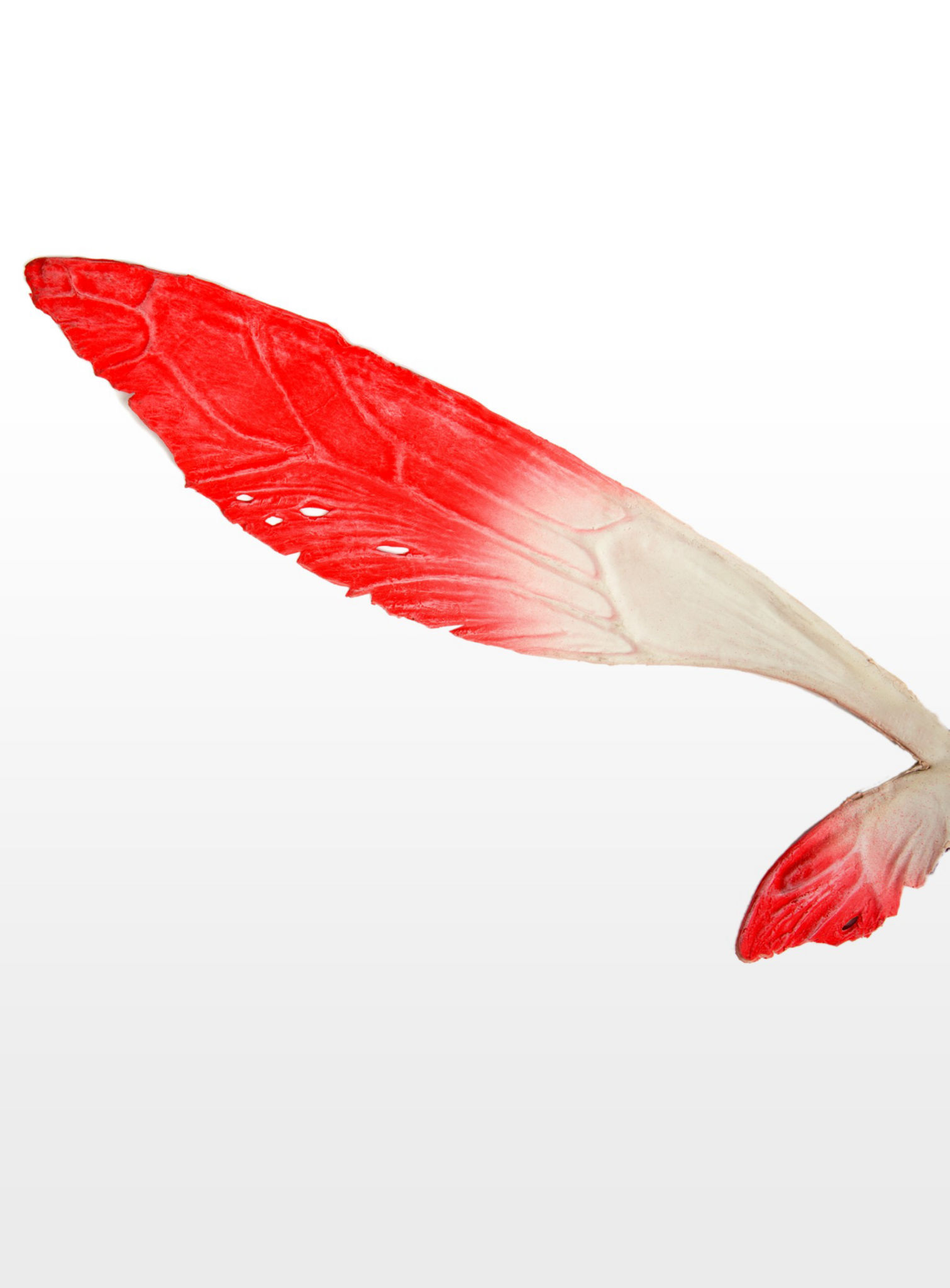 Large Fairy Wings red 