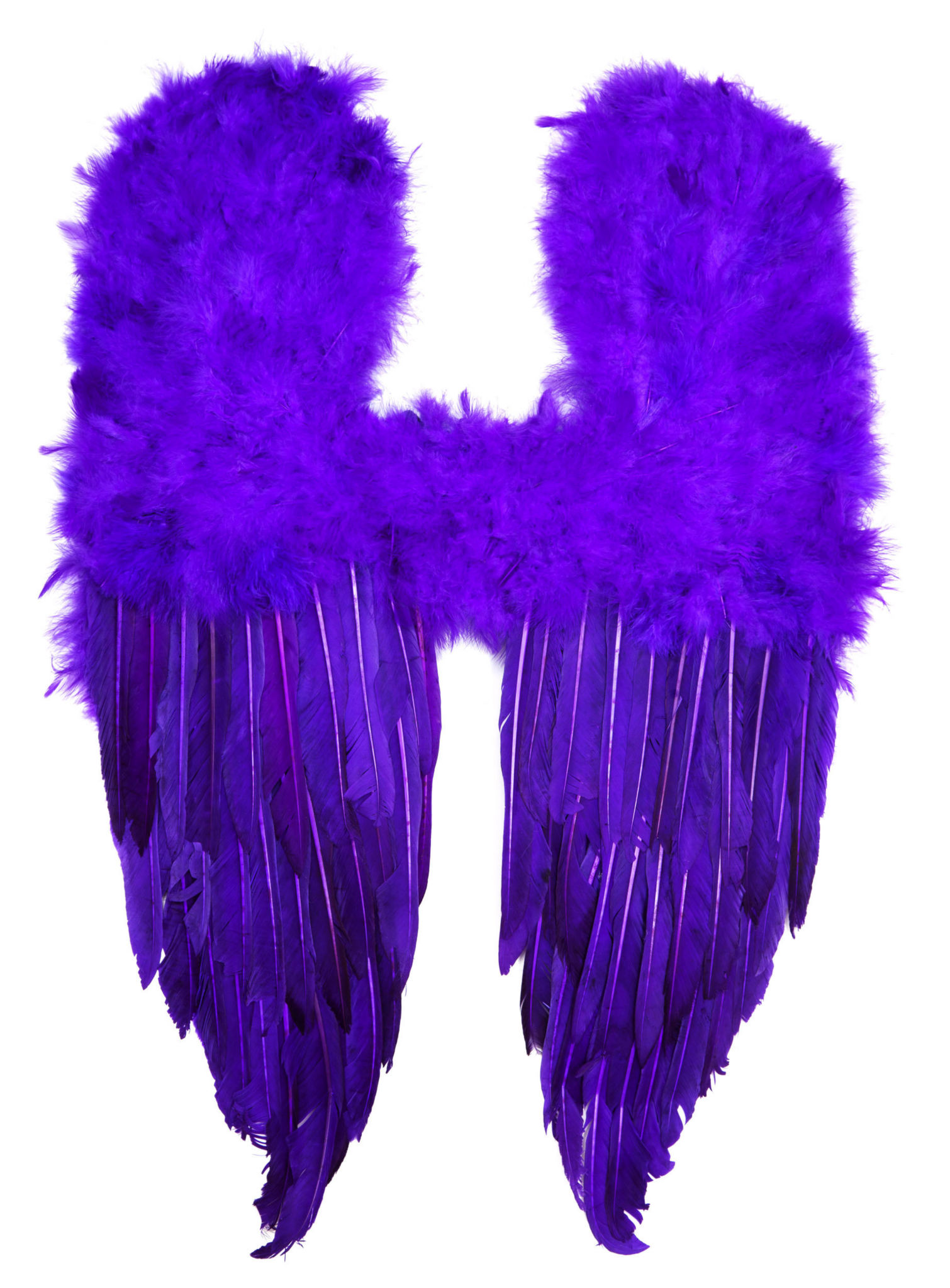 Purple Demon Feather Wings 