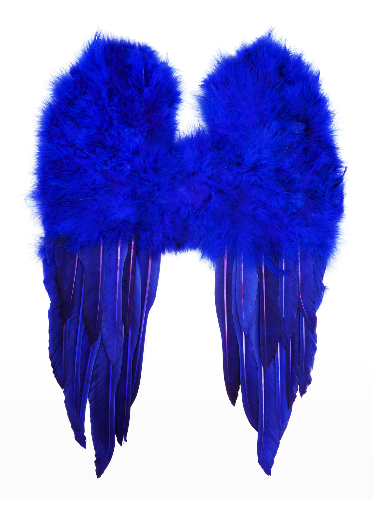 Small Feather Wings blue 