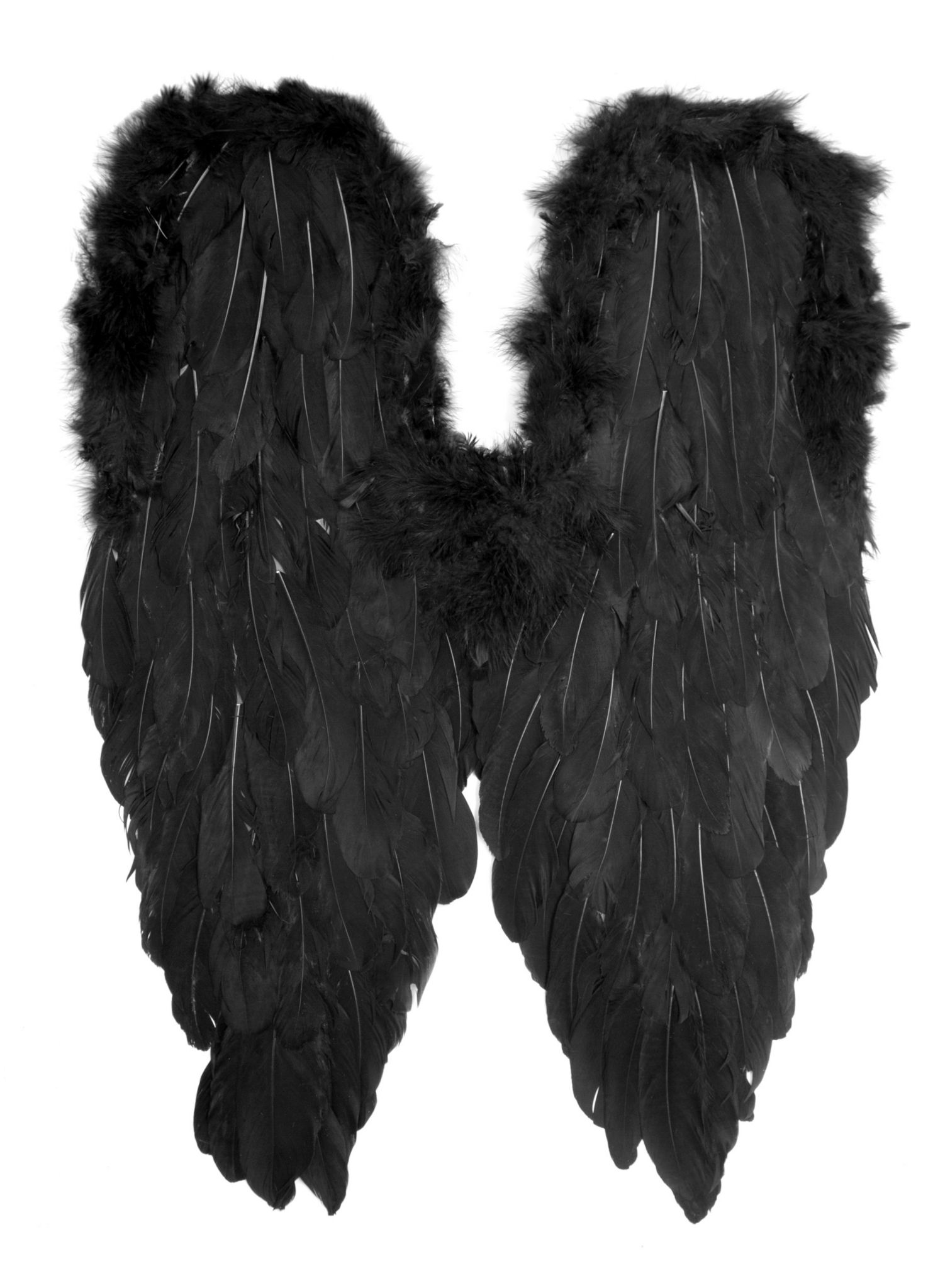 Large Wings black 