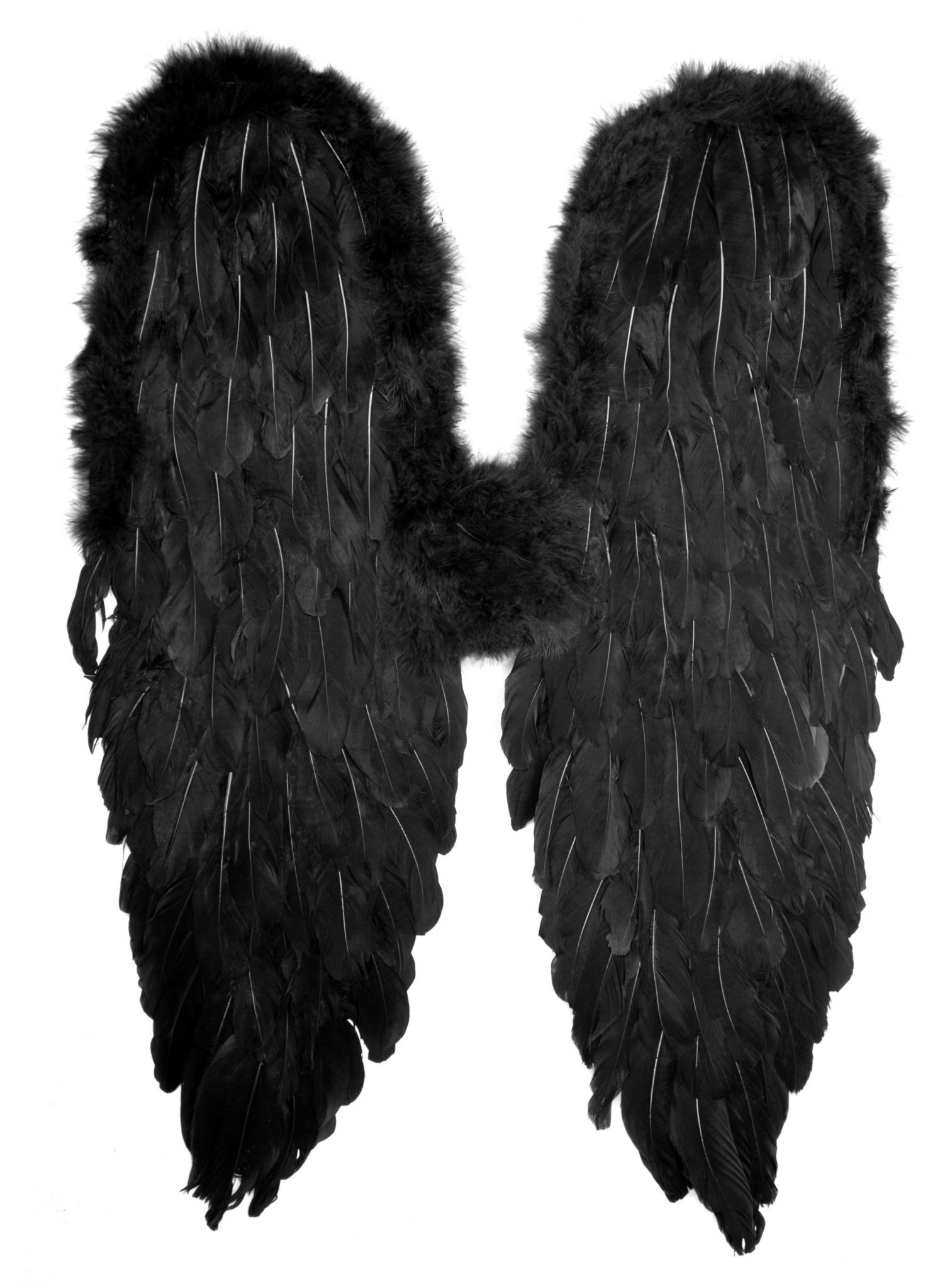 Wings black 