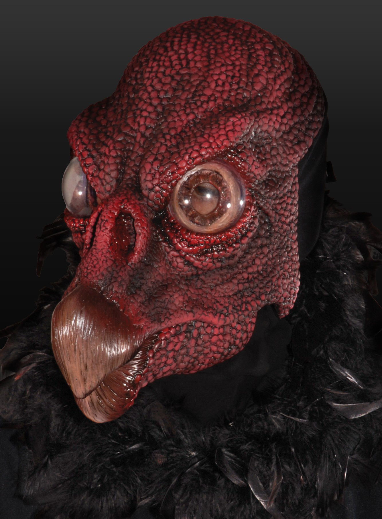 Mad Vulture 